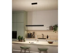 Paulmann LED Pendelleuchte Raiko, Schwarz