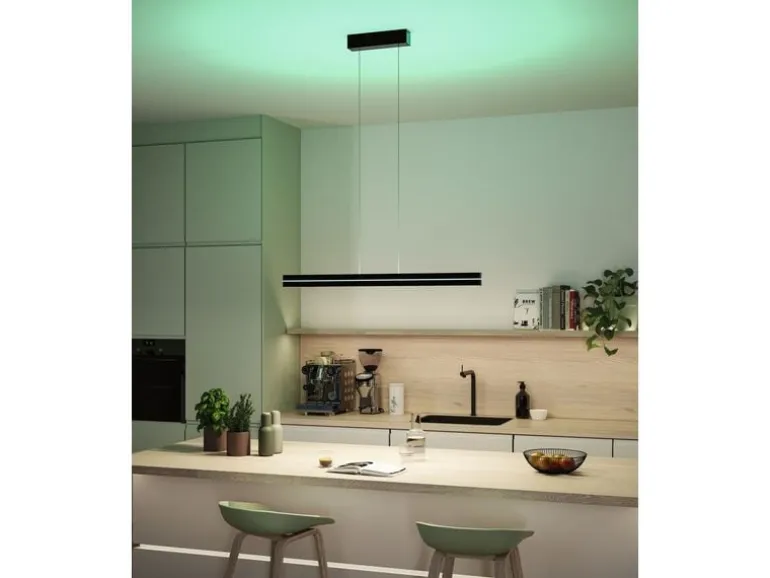 Paulmann LED Pendelleuchte Raiko, Schwarz