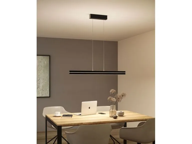 Paulmann LED Pendelleuchte Raiko, Schwarz