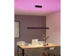 Paulmann LED Pendelleuchte Raiko, Schwarz