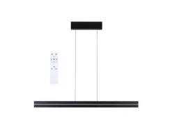 Paulmann LED Pendelleuchte Raiko, Schwarz