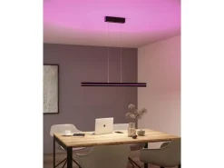 Paulmann LED Pendelleuchte Raiko, Schwarz