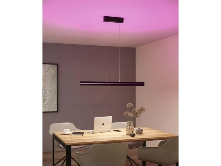 Paulmann LED Pendelleuchte Raiko, Schwarz