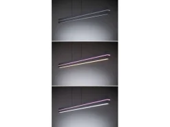 Paulmann LED Pendelleuchte Raiko, Schwarz