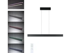 Paulmann LED Pendelleuchte Raiko, Schwarz