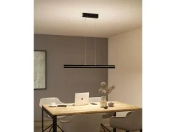 Paulmann LED Pendelleuchte Raiko, Schwarz