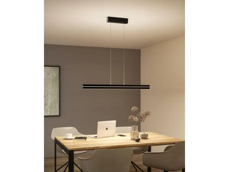 Paulmann LED Pendelleuchte Raiko, Schwarz