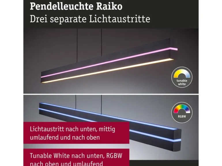 Paulmann LED Pendelleuchte Raiko, Schwarz