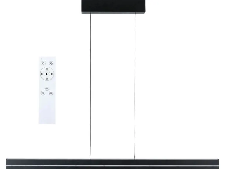 Paulmann LED Pendelleuchte Raiko, Schwarz