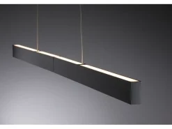 Paulmann LED Pendelleuchte Smart Home Zigbee, Schwarz
