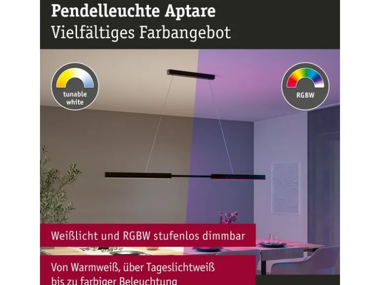 Paulmann LED Pendelleuchte Smart Home Zigbee, Schwarz
