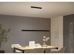 Paulmann Pendelleuchte LED Touchless Sensor Aptare Schwarz