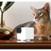 Petcube Haustierkamera 360 Cam