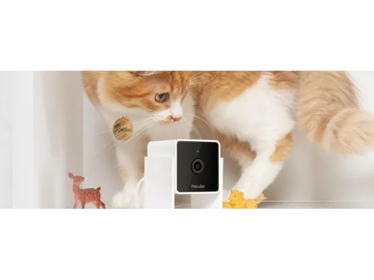 Petcube Haustierkamera Pet Cube