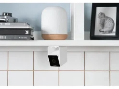 Petcube Haustierkamera Pet Cube
