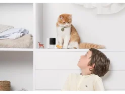 Petcube Haustierkamera Pet Cube