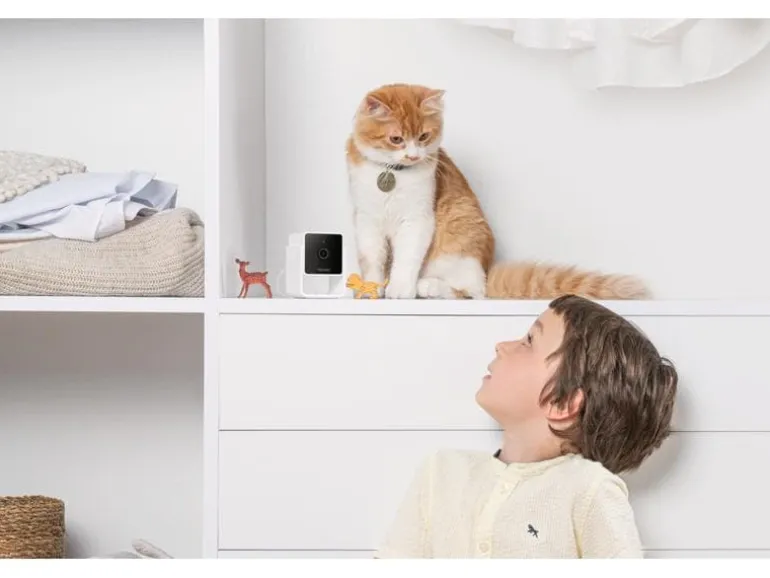 Petcube Haustierkamera Pet Cube