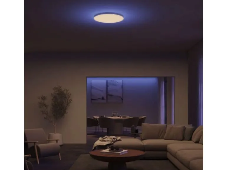 Philips Hue Deckenleuchte White & Color Ambiance Datura Ø 384 mm