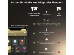 Philips Hue Leuchtmittel White E27 Einzelpack Filament 550 lm