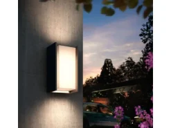 Philips Hue Wandleuchte Turaco 1100 lm Anthrazit