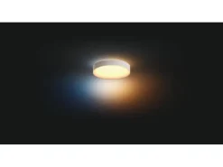 Philips Hue White Amb. Enrave Deckenleuchte L weiss 3300 lm + Dimmer