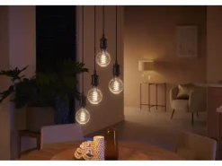 Philips Hue White Ambiance E27 Einzelpack Globe G93 Filament 550 lm