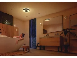 Philips Hue White & Color Ambiance, Xamento M, Schwarz, BT