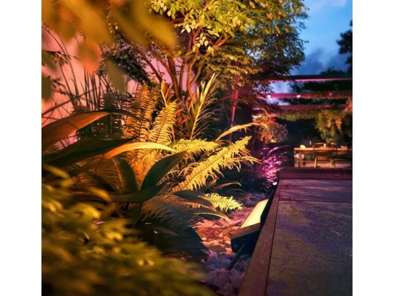 Philips Hue White & Color Ambiance Outdoor Amarant Schwarz Niedervolt