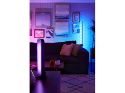 Philips Hue White & Color Ambiance Play 2er-Pack Lightbar Basis Schwarz