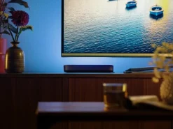 Philips Hue White & Color Ambiance Play 2er-Pack Lightbar Basis Schwarz