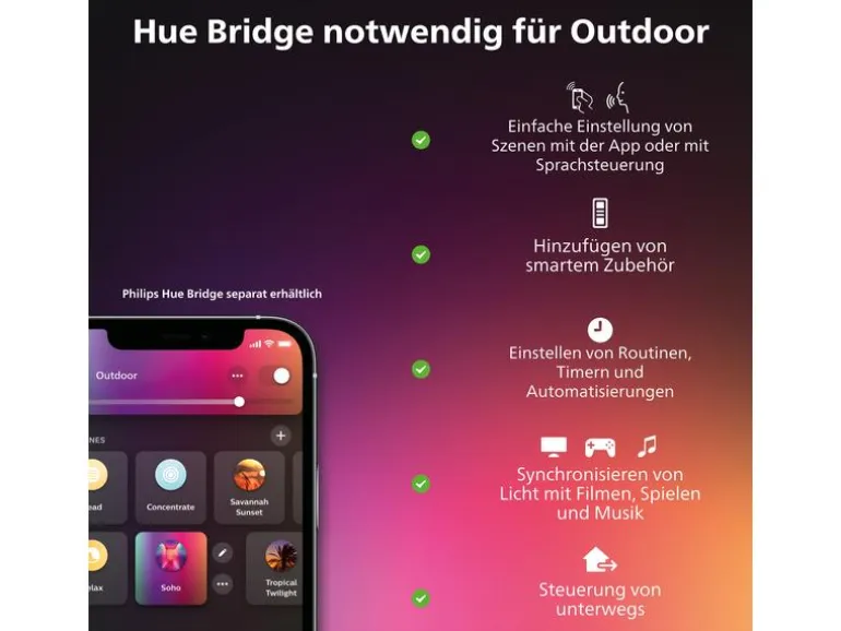 Philips Hue White & Color Ambiance Outdoor Daylo Wandleuchte Silber