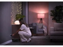 Philips Hue Zubehör Smart Plug Steckdose CH Weiss, Bluetooth
