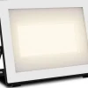 Philips Lois Flutlicht 50W 3000K IP65 schwarz 50 W