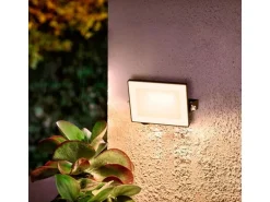 Philips Lois Flutlicht 10W 3000K IP65 10 W