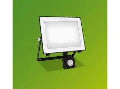Philips Lois Flutlicht 50W 5000K IR IP65 schwarz 50 W