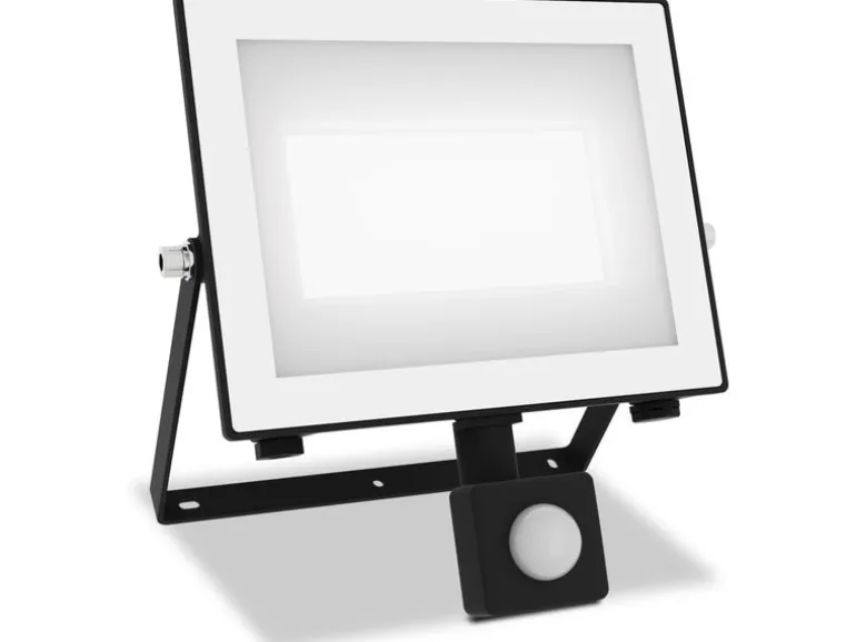 Philips Lois Flutlicht 50W 5000K IR IP65 schwarz 50 W