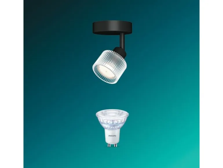 Philips Philips Horen Aufbauspot 5W ohne Leuchtmittel GU10, schwarz