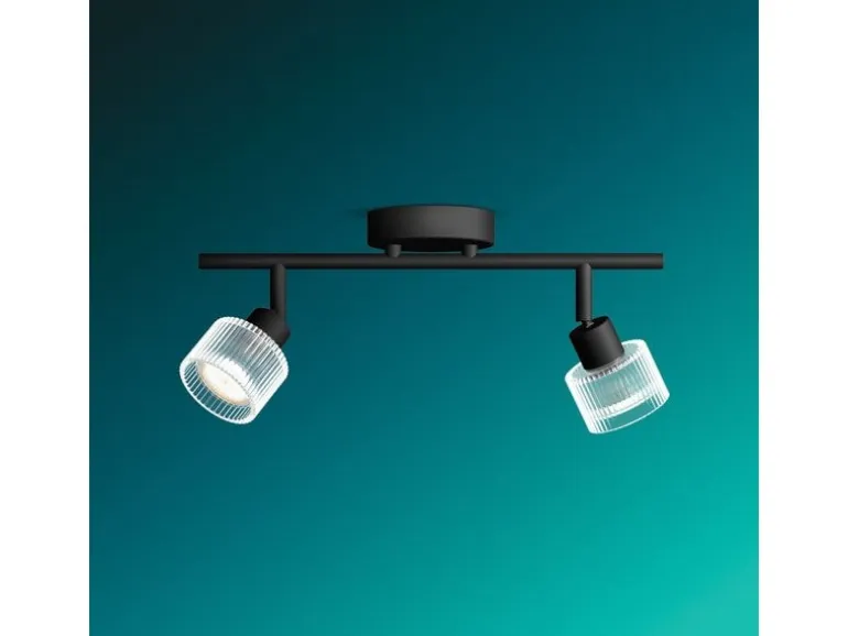 Philips Philips Horen Aufbauspot 2 x 5W ohne Leuchtmittel Schwarz