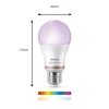 Philips PHI WFB 100W A60 E27 60W, E27