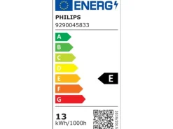 Philips PHI WFB 100W A60 E27 60W, E27