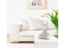 Philips Schnurlostelefon XL4901S Champagner
