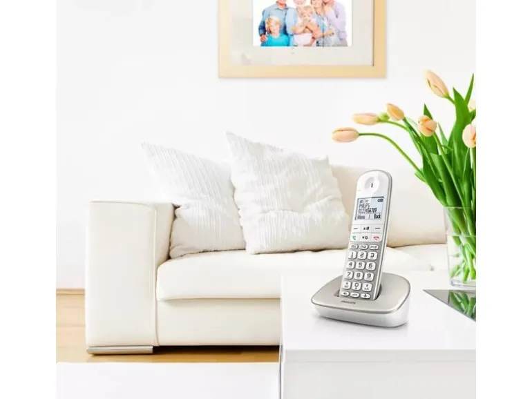 Philips Schnurlostelefon XL4901S Champagner