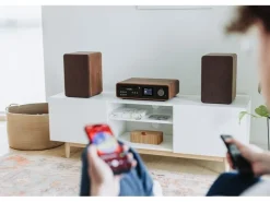Pure Micro-HiFi Anlage Classic Stereo Schwarz/Walnuss