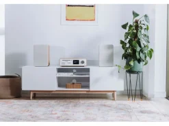 Pure Micro-HiFi Anlage Classic Stereo Eiche/Weiss