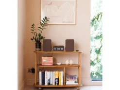 Pure Micro-HiFi Anlage Classic Stereo Mini Walnuss