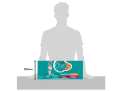 Purina ONE Nassfutter Adult Huhn, Hochseefisch, Rind Lamm 2x 40 x 85 g