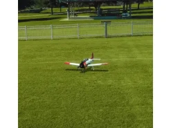 Realflight RC-Flugsimulator RealFlight Evoluion mit Controller