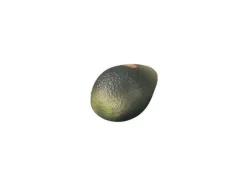 Remo Fruit Shaker Avocado