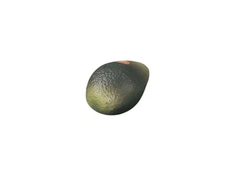 Remo Fruit Shaker Avocado