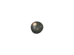 Remo Fruit Shaker Pflaume, PLUM